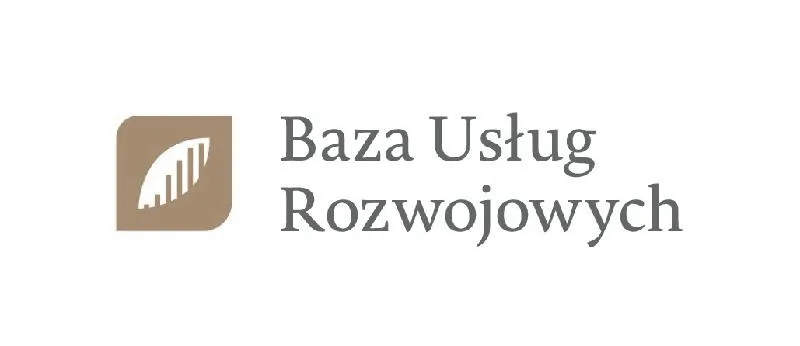 Baza usług rozwojowych – klucz do efektywnego rozwoju zawodowego
