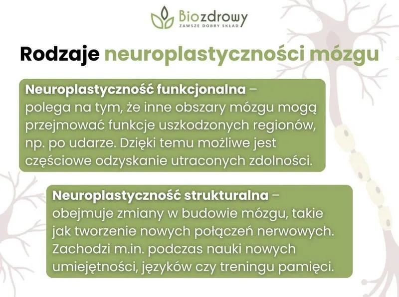 Jak rozwijać umysłowo – skuteczne sposoby na sprawny mózg w każdym wieku