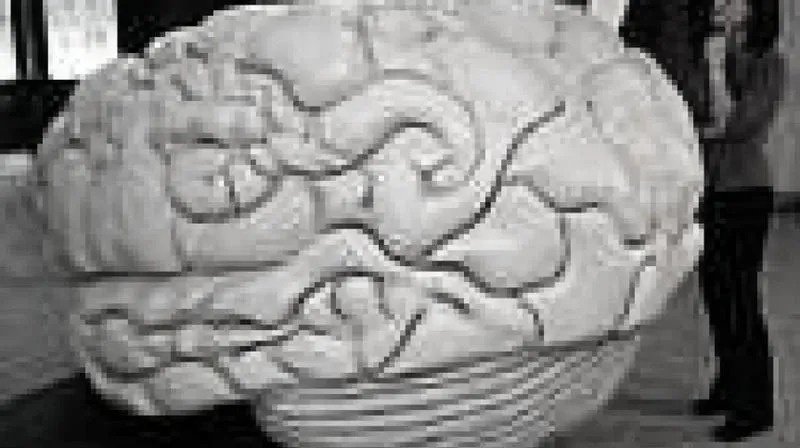 Jak uczy się mózg? Neurobiologia skutecznej nauki