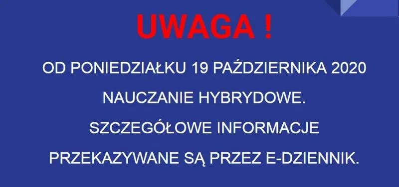 Odkryj nauczanie hybrydowe: Kluczowe modele i zasady działania tej nowoczesnej metody edukacji
