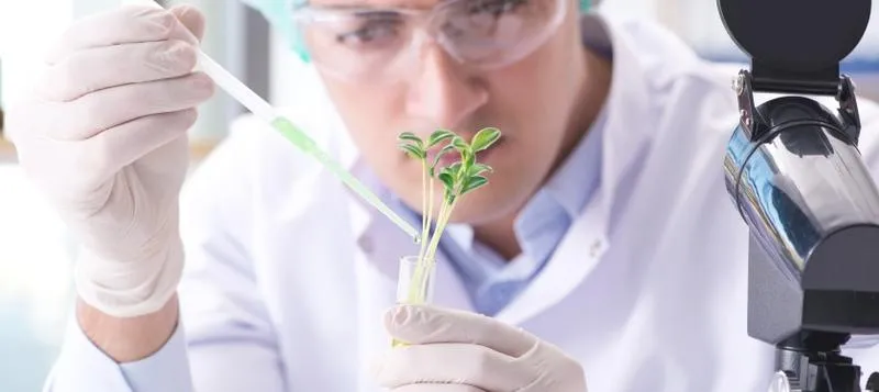 Biotechnologia na maturze