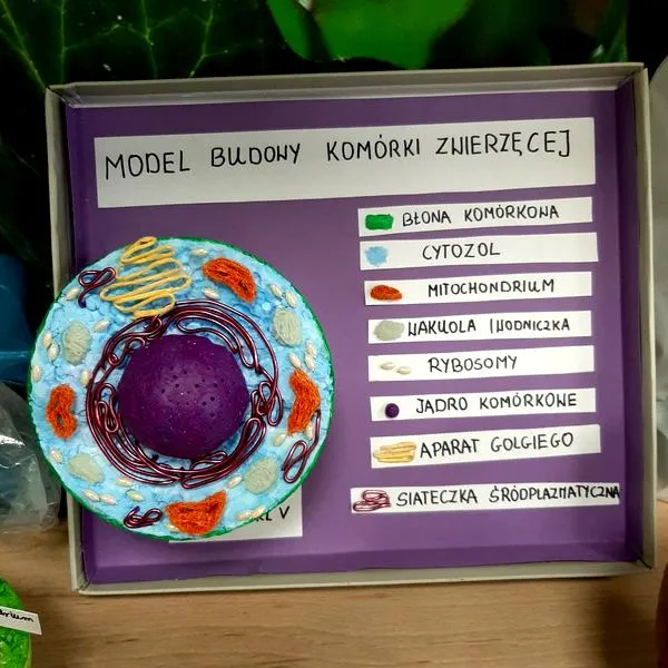 Ciekawe zajęcia z geografii
