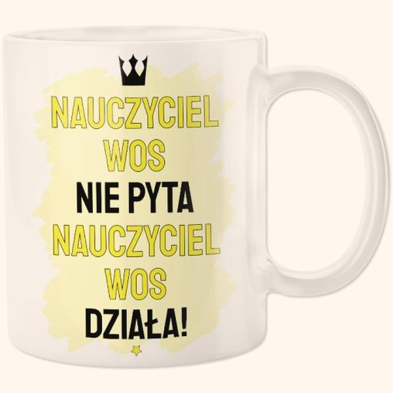 Nauczyciel historii