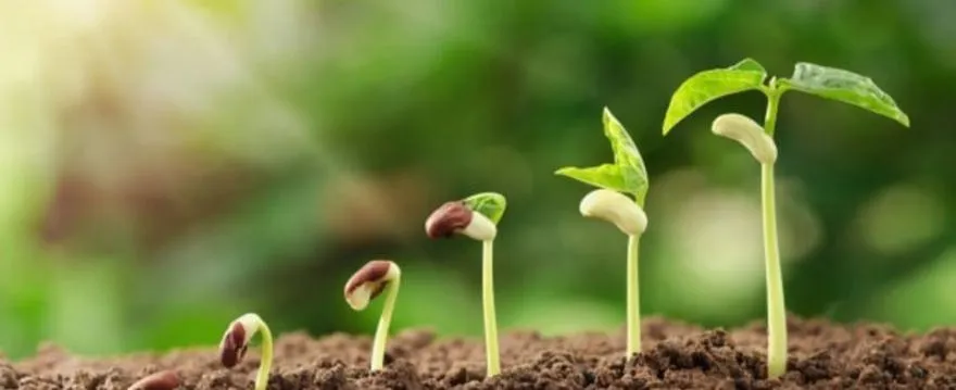 Odkrywanie potencjału