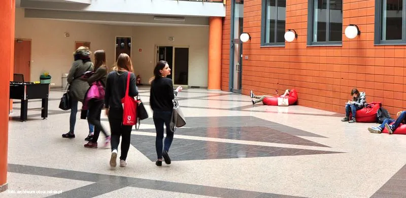 Praca po studiach