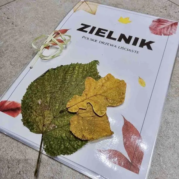 Rośliny do zielnika