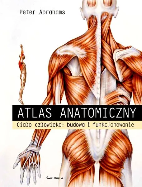 Stres w nauce anatomii